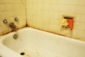 Repairing Your Shower & Tub - Macomb County MI - Stadler Plumbing