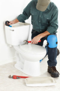 Installing & Replacing Toilets - Macomb County MI- Stadler Plumbing